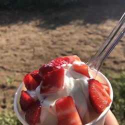 Zuckerschlecken - Frozen Yoghurt mit frischen Erdbeeren
