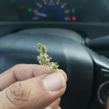 The Cannabliss - This what they weighed up a whole bunch of them that ain't right that's 2 times that lady did me like this top shelf my ass - Cannabis Dispensaries Near Me - Bakersfield, California The Cannabliss - This what they weighed up a whole bunch of them that ain't right that's 2 times that lady did me like this top shelf my ass - Cannabis Dispensaries Near Me - Bakersfield, California