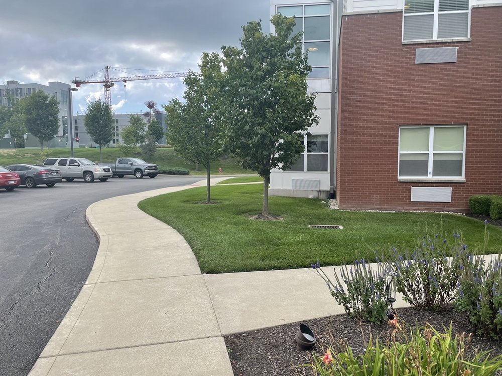 WELLBROOK OF CARMEL Updated August 2024 11 Photos 12315