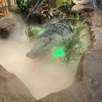 Rainforest Cafe - Gator - American Near Me - Ontario, California Rainforest Cafe - Gator - American Near Me - Ontario, California