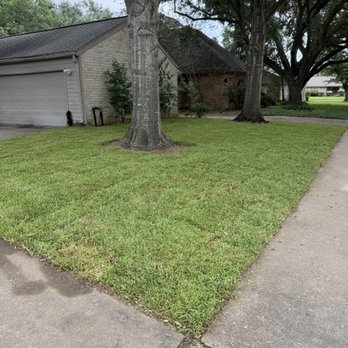 Platinum 36 Grass & Installation - Landscaping Near Me - Richmond, Texas Platinum 36 Grass & Installation - Landscaping Near Me - Richmond, Texas