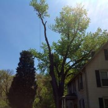 Greenleaf Tree Service - Greenleaf Tree Service - Tree Services Near Me