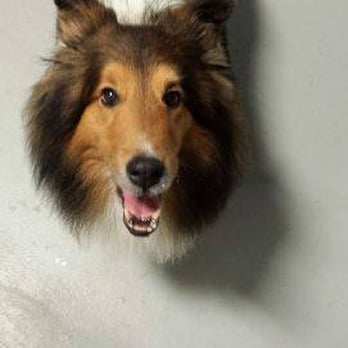 Paws N Claws - Pet Groomers Near Me - Waupaca, Wisconsin Paws N Claws - Pet Groomers Near Me - Waupaca, Wisconsin