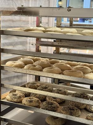Hey Bagel by null