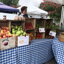 Greenbelt Farmers Market - Apples and tomatoes from Three Springs Fruit Farm.