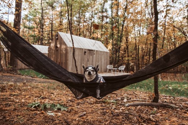 Gather Greene by null