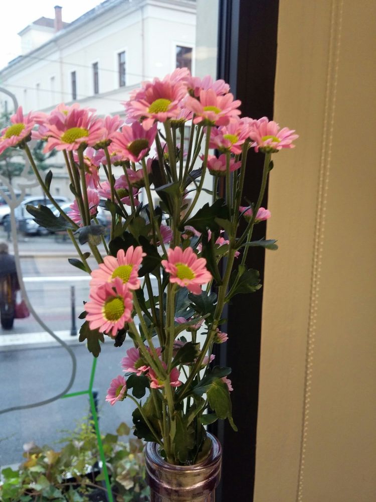 Forhaus - Wine & Restaurant