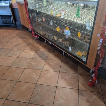 Einstein Bros. Bagels - Empty pathetic bagel case - Bagels Near Me - Schaumburg, Illinois Einstein Bros. Bagels - Empty pathetic bagel case - Bagels Near Me - Schaumburg, Illinois
