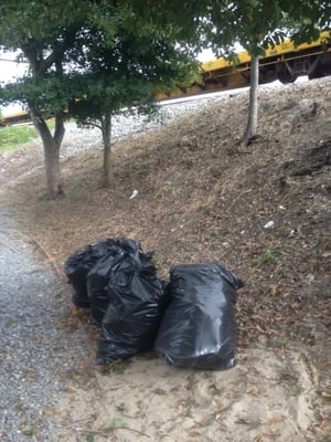 Sean's Landscaping by null