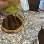 Cook Out