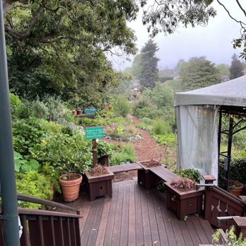 Shadowbrook - Chef's Garden with restaurants freshly grown herbs - American Near Me - Capitola, California