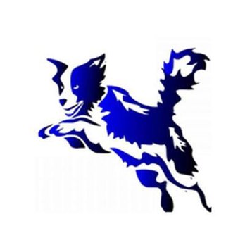 Azani Pro Dog Training - Pet Training Near Me - Edmond, Oklahoma Azani Pro Dog Training - Pet Training Near Me - Edmond, Oklahoma