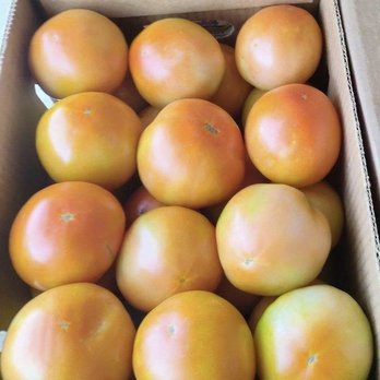Jw Johnson Tomato - Fruits & Veggies Near Me - Canton, North Carolina Jw Johnson Tomato - Fruits & Veggies Near Me - Canton, North Carolina