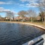Photo of Cammanns Pond County Park