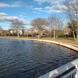 Cammanns Pond County Park - Looking north