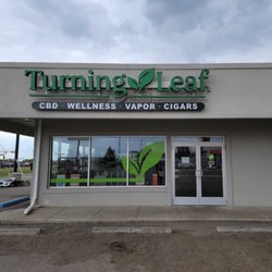 Turning Leaf - Minot