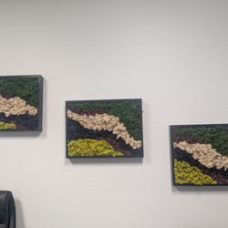 Living Interiors - Beautiful live moss artwork!