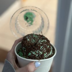 Ice Cream Cottage - Mint Cookies and Cream with Chocolate Sprinkles