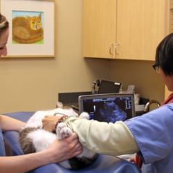 David Gonsky, DVM - Ultrasound capabilities