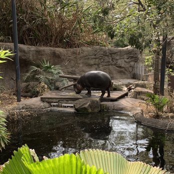 Taronga Zoo - Zoos Near Me - Mosman, NSW