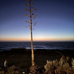A view from the hotel front yard towards the ocean across the street
