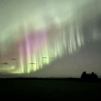 Face The Outdoors - Bus Tours Near Me