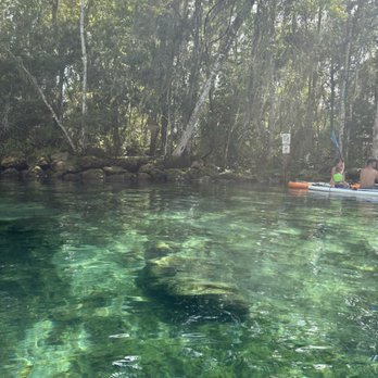 Manatee Paddle - Clear water - Paddleboarding Near Me - Crystal River, Florida Manatee Paddle - Clear water - Paddleboarding Near Me - Crystal River, Florida