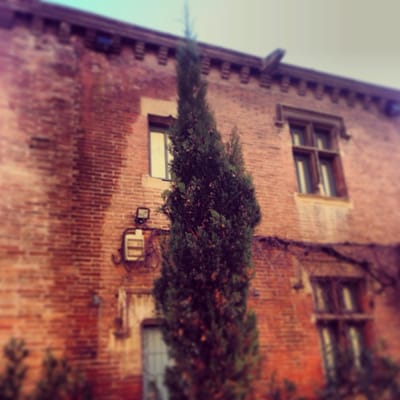 Musée Saint-Raymond by null