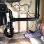 Photo of Golden Oak Plumbing Services