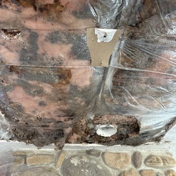 WIN Home Inspection Sandy - Mice infestation - Home Inspectors Near Me - Sandy, Utah