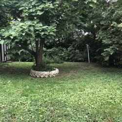 Elite Lawn Care Specialists