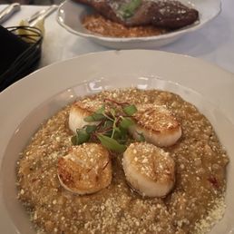 Scallops and veal. Scallops and veal.
