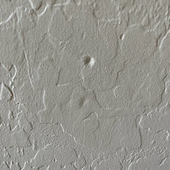 Renuity - General Contractors Near Me - Portland, Oregon