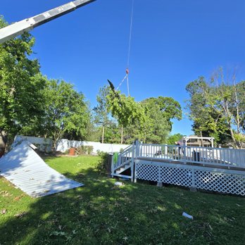 Pacific Tree Service - Tree Services Near Me - Joplin, Missouri Pacific Tree Service - Tree Services Near Me - Joplin, Missouri