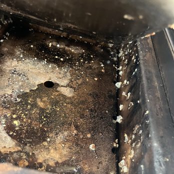 Firehouse Subs - Mold - Sandwiches Near Me - Casselberry, Florida