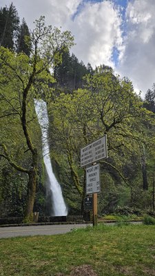 Horsetail Falls by null