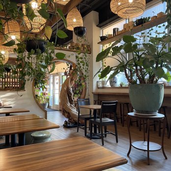 High Climate Tea - Tea Rooms Near Me - Asheville, North Carolina