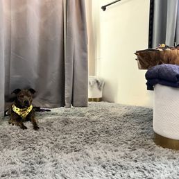 Keeping an eye out while we tried the clothes