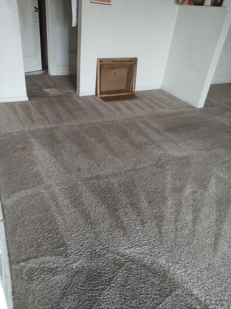 O & Z CARPET CLEANING Updated July 2024 Request a Quote 10 Photos