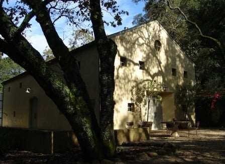 Farella Vineyard by null