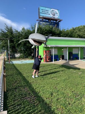 Goofy Golf near Seacrest Condominiums in Fort Walton Beach, FL