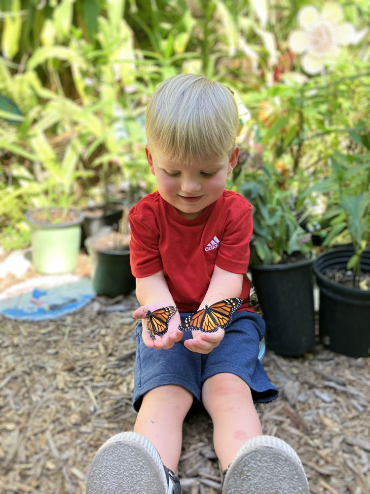 Ivy Prep Learning Center - childcare center in Clearwater, FL