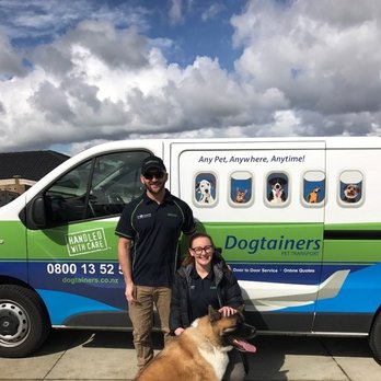 dogtainers pet transport