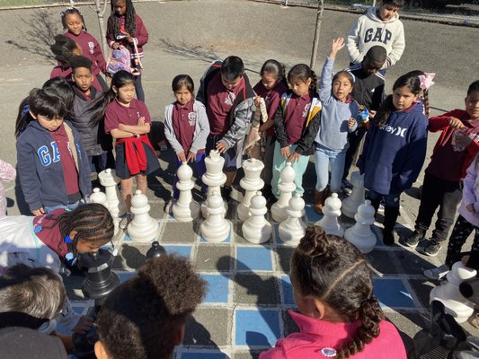 Berkeley Chess School by null
