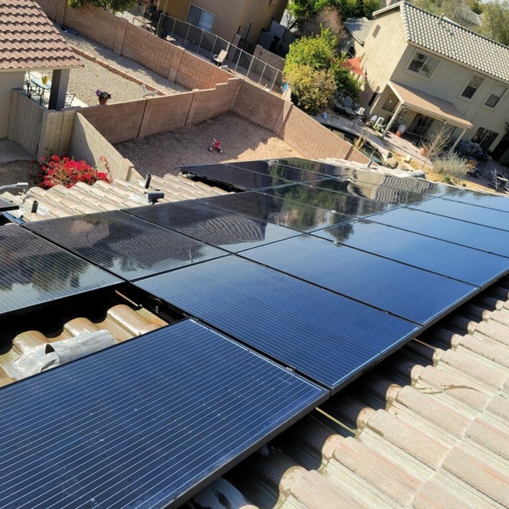 Pigeon Problem Solvers - Wildlife Control Near Me - Mesa, Arizona