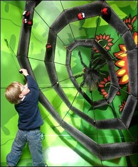 We The Curious by null