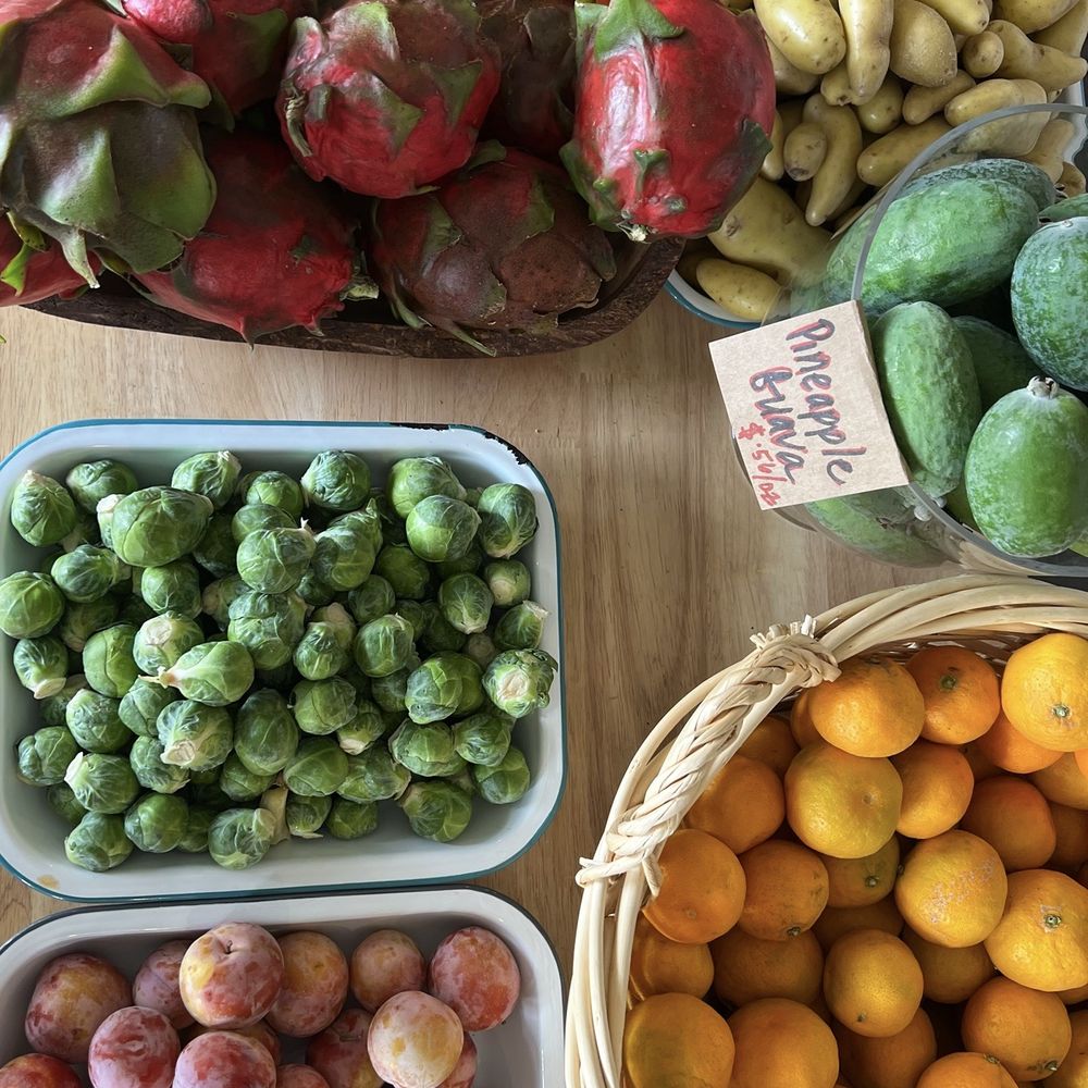 Mercado Laguna - Health Markets Near Me - Laguna Beach, California Mercado Laguna - Health Markets Near Me - Laguna Beach, California