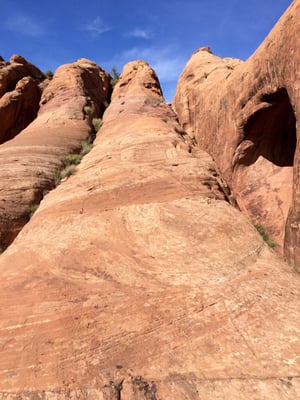 Moab Desert Adventures by null