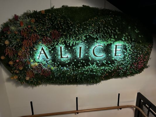 Alice by null