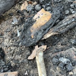Uwharrie National Forest - Burnt shoe sole